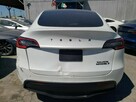 Model Y - 5