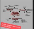 Kompleksowa pomoc dzieciom, młodzieży i osobom dorosłym - 4