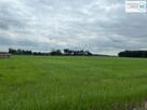 Działka rolna Nagłowice Trzciniec - 3