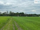 Działka rolna Nagłowice Trzciniec - 4