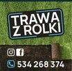 Trawa z rolki - 5