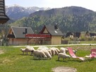 Pokój NR 4 rewgionalny Zakopane Kościelisko noclegi wakacje - 14