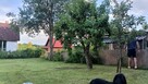 Sprzedam działkę ROD Myki - 2