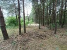 Działka rolno leśna Kołbiel ul Polna - 8