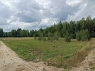 Sprzedam działki rekreacyjne - 2