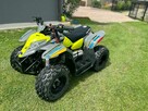 Polaris 50 - 4