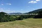 Działka rolna Porąbka gm. Dobra - 10