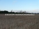 Działka siedliskowa Skierniewice Sierakowice Lewe - 1
