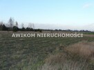 Działka siedliskowa Skierniewice Sierakowice Lewe - 2