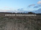 Działka siedliskowa Skierniewice Sierakowice Lewe - 9