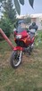 Honda Transalp Honda XL 650 Transalp - 4