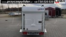 TP-040 przyczepa 253x110x125cm Mini Cargo kargo TF 4 SP - 4