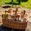 Kosz wiklinowy PERŁOWY na zakupy prezent grzyby Rzeszów - 3