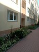 Mieszkanie w centrum na sprzedaż - 1