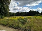 Działka Karwik Pisz Jezioro Seksty Śniardwy Plaża - 2