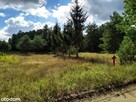 Działka Karwik Pisz Jezioro Seksty Śniardwy Plaża - 1
