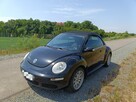 New beetel - 3