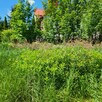 Sprzedam działkę budowlano - inwestycyjna 2ha - 8