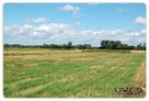 10 ar – Rzeszów Budziwój – 17 działek z WZ - 2