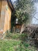 Gospodarstwo rolne - 9