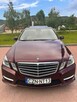 Piękny Mercedes niespotykany kolor - 12