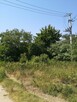 Działka 5700m2 na Kujawach z własnym lasem - 13
