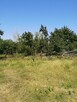 Działka 5700m2 na Kujawach z własnym lasem - 7