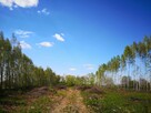 Działki ok. 1000m2 w odległości 400m od wody - 5