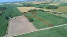 Działka 4100m2 na Kujawach - 3