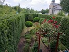 Wycinka drzew, usługi podnośnikiem koszowym, zwyżka - 13