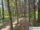 Działka inwestycyjna Turze Pole gm. Brzozów, - 10