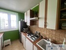 1 pokój | 42 m² | Balkon | Kliny | 2003r | - 4