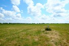 Podkampinos gm. Kampinos, WZ - 7