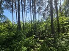 Działka budowlana Wiązowna - 11