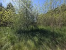 Działka budowlana Wiązowna - 12