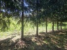 Działka budowlana Wiązowna - 14