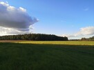 Działka rolno-budowlana 1600m2 w spokojnej okolicy - 9