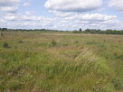 Sprzedam działkę 1350 m² Kęsowo - 12