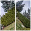 Zaopiekuje się twoim ogrodem :) - 3