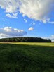 Działka rolno-budowlana 1600m2 w spokojnej okolicy - 7