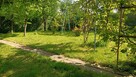 Działka w ROD ,,Walter - 6