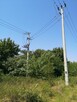 Działka 5700m2 na Kujawach z własnym lasem - 9