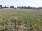 Sprzedam działkę 1350 m² Kęsowo - 3