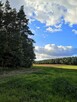 Działka rolno-budowlana 1600m2 w spokojnej okolicy - 6