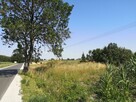 Działki w okolicy jez. Gopło - 6