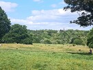 Prace w ogrodzie - 5