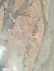 Sprzedam stary obraz - 7