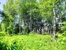 Działki budowlane Pietrusza Wola - 6