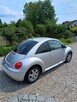VW New Beatle - 6