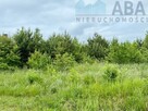 Żychlin, gm. Stare Miasto - działka budowlana na sprzedaż - 2